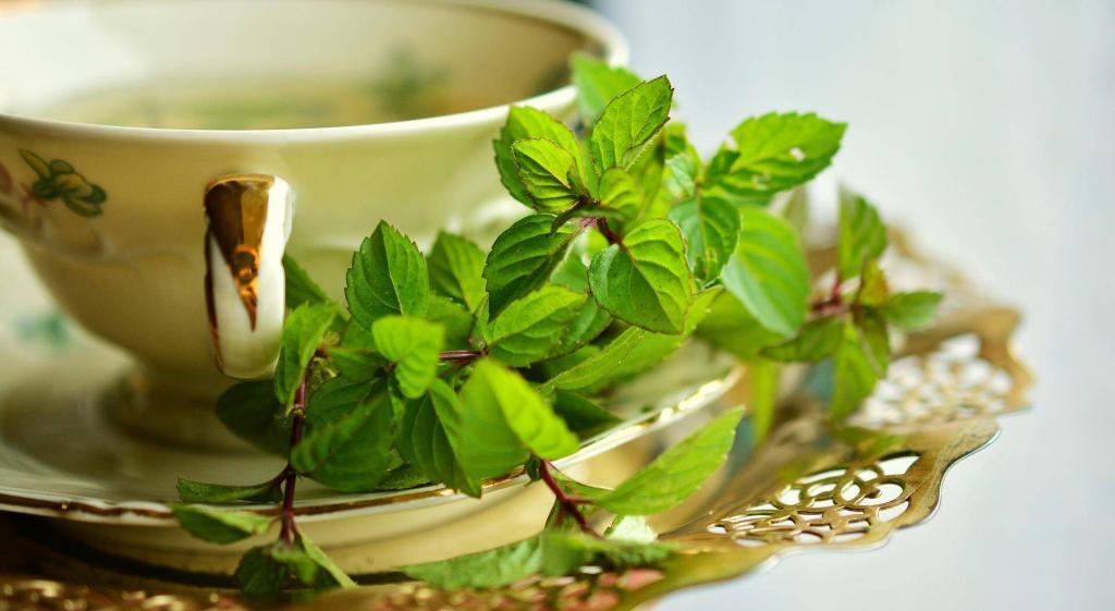 Green Tea And Herbal Tea 